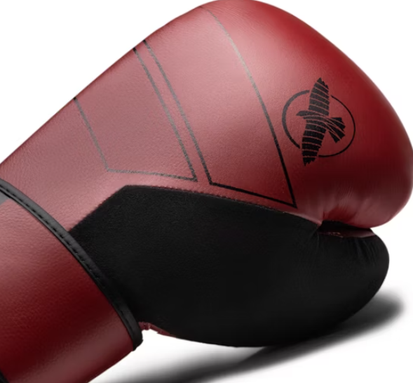 Guantes de boxeo con cuerdas Hayabusa Pro (blanco) – Capital MMA