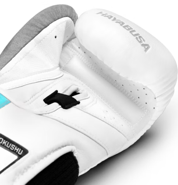 Guantes de boxeo Hayabusa T3 (blanco/iris)