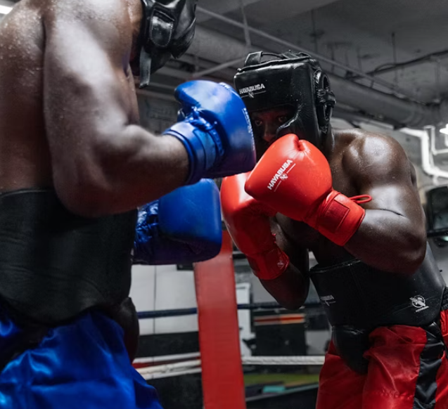 Guantes de boxeo con cuerdas Hayabusa Pro (rojo)