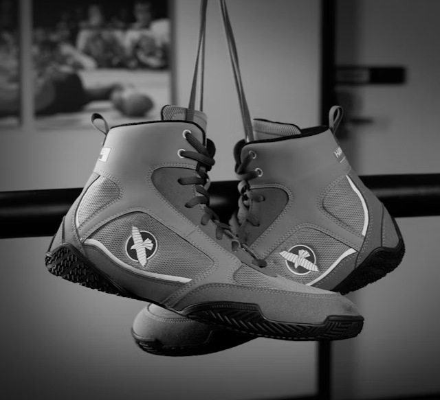 Zapatillas de Boxeo Hayabusa Pro (gris)