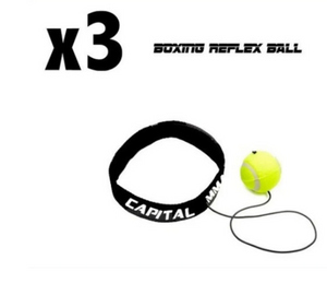 Boxing Ball x 3